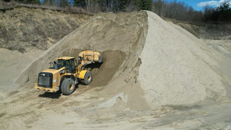 Cow-Beach Sand