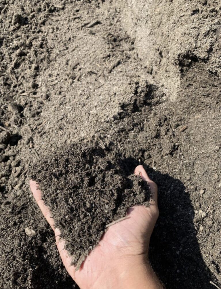 Bio retention Soil